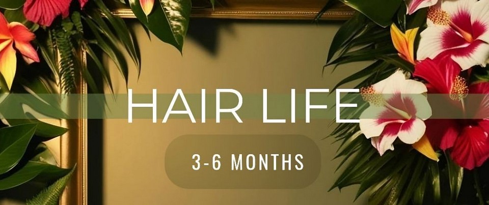 Remy hair extensions Bangor Co.Down