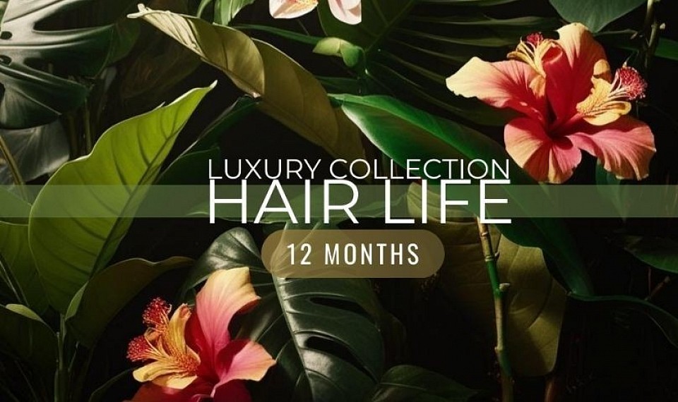 Hair Lengths Available   ___ 16