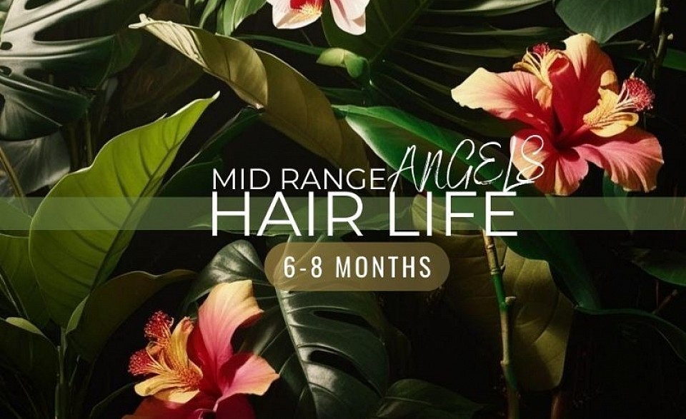 Remy hair extensions Bangor Co.Down