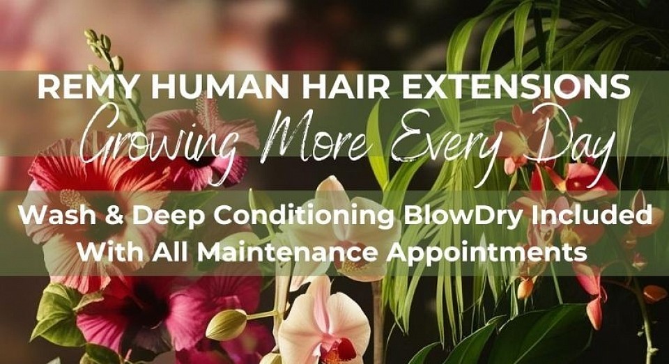 Hair Extension Maintainence Goddess Hair Tribe Bangor, County Down, Belfast